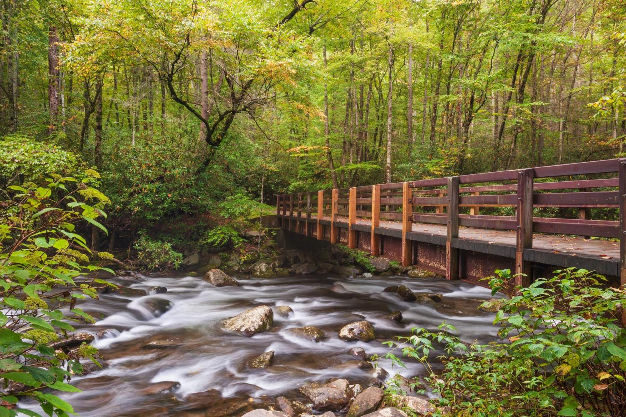Highland Dream, Hot Tub, 1089 Free Tickets Each Paid Day, Dollywood And More เซอเวียร์วีล ภายนอก รูปภาพ